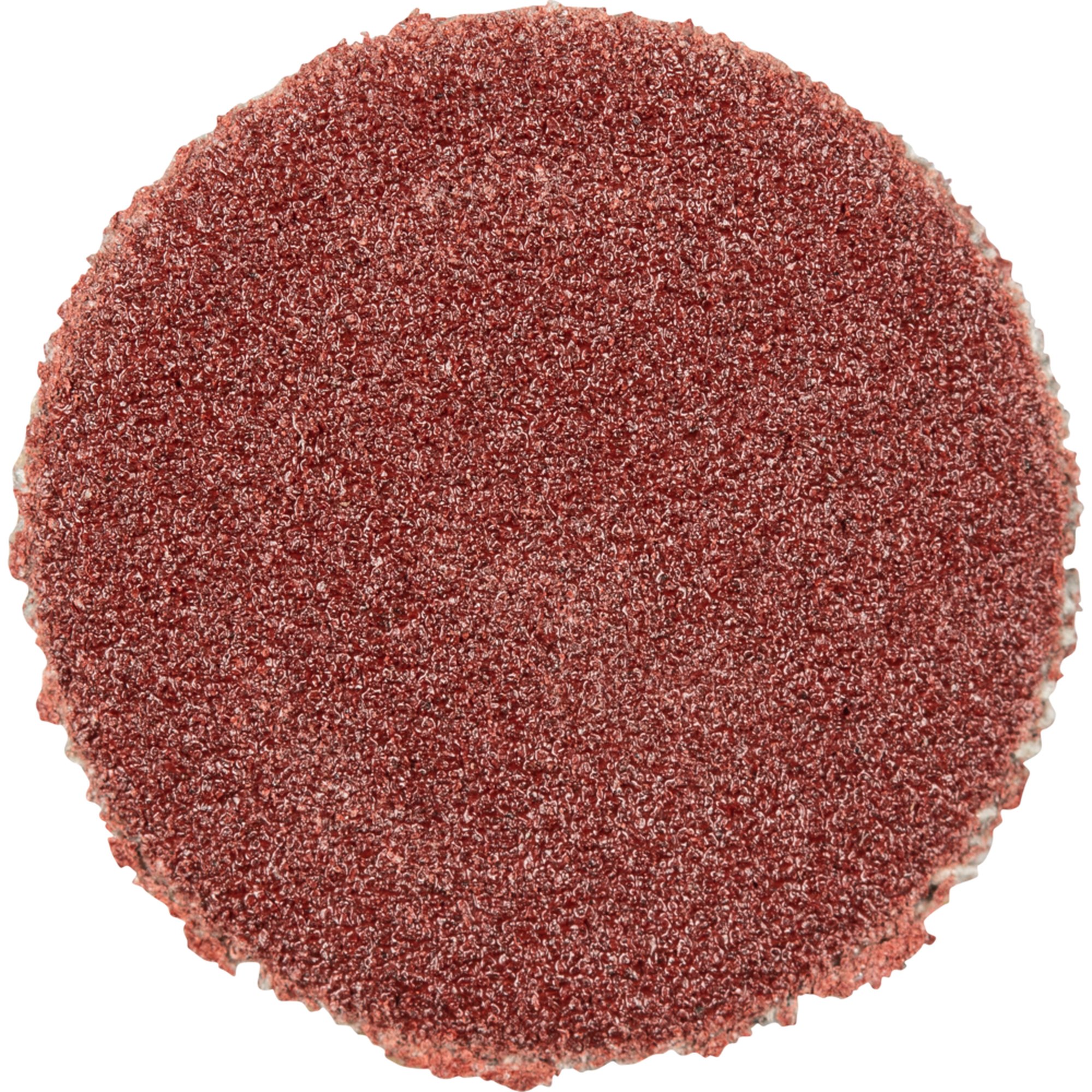 100 x Pferd Schleifscheibe Selbstklebendes Schleifblatt PSA 12 A 240