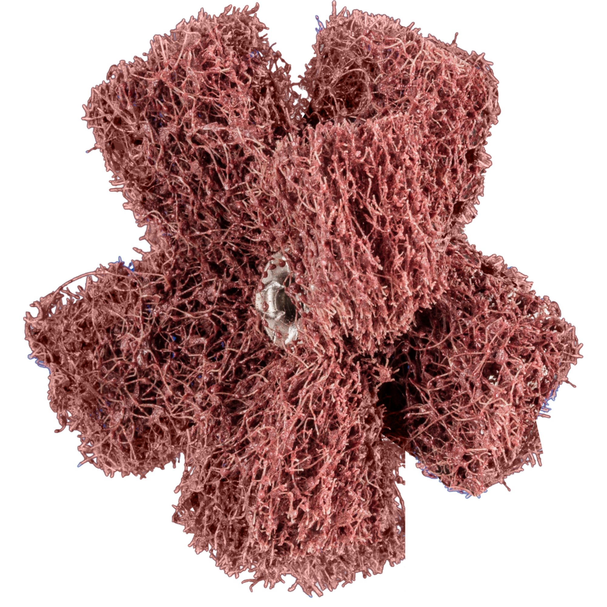 20 x PFERD POLINOX-Schleifstern PNST 50-2 A 80