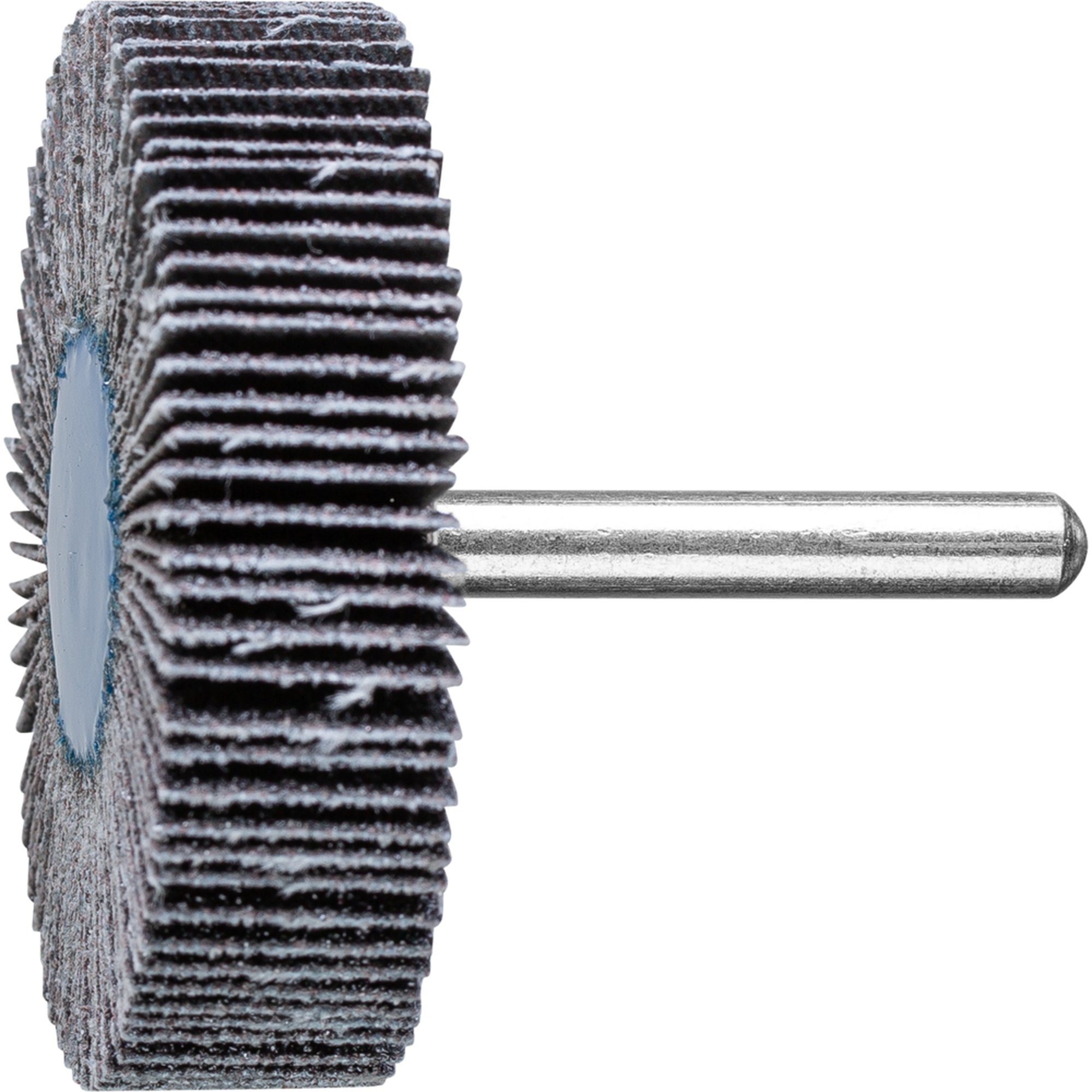 10 x PFERD Fächerschleifer F 6015/6 SiC 60