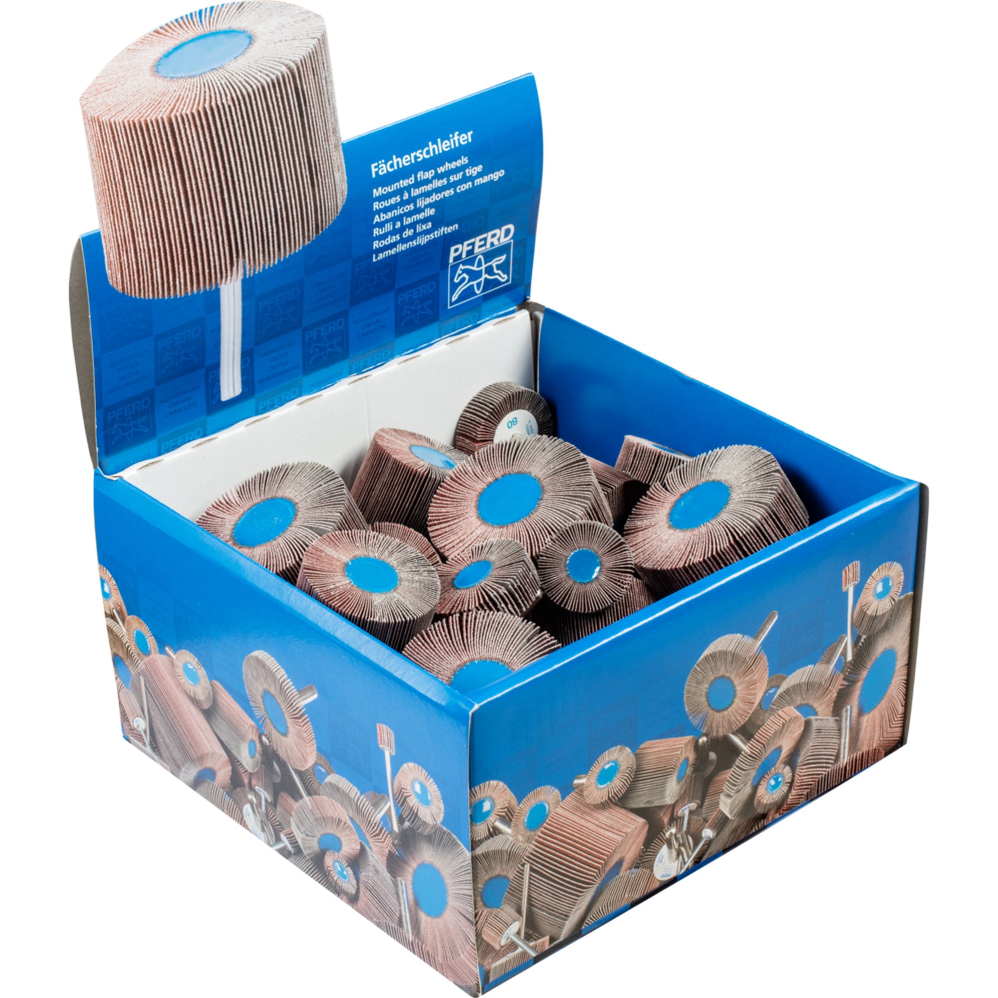 PFERD Fächerrad-Set FSO 5400