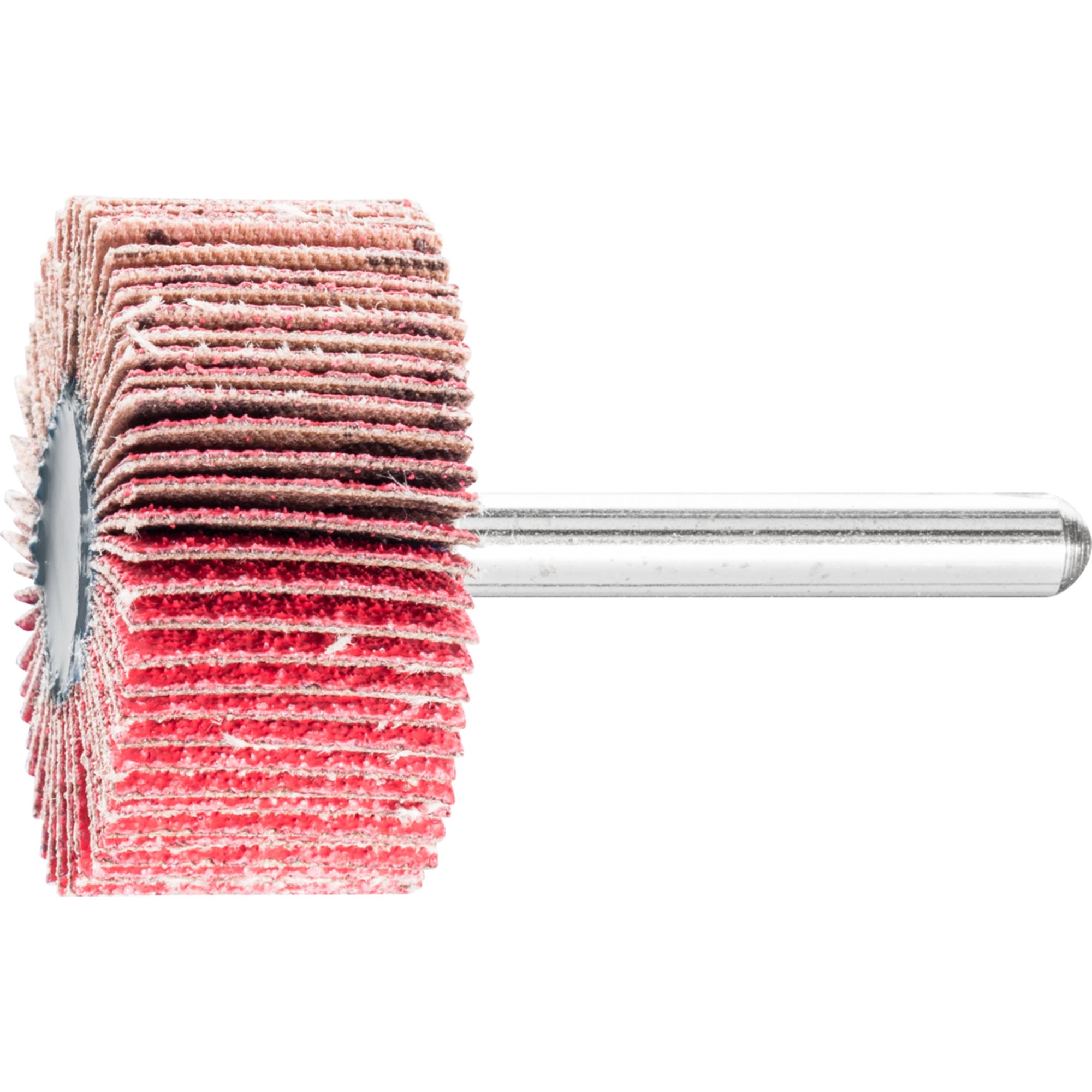 10 x PFERD Fächerschleifer F 4020/6 CO-COOL 80