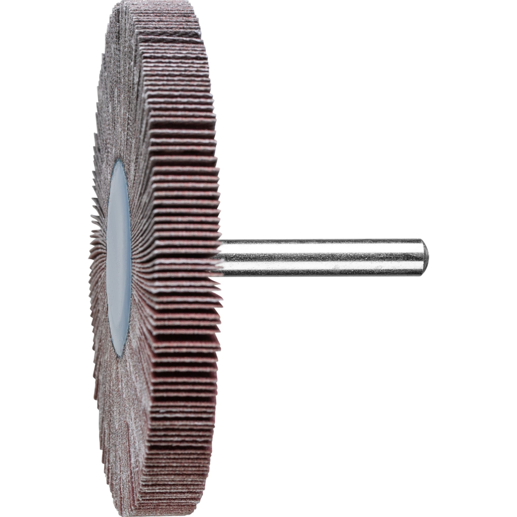 10 x PFERD Fächerschleifer F 8010/6 A 240