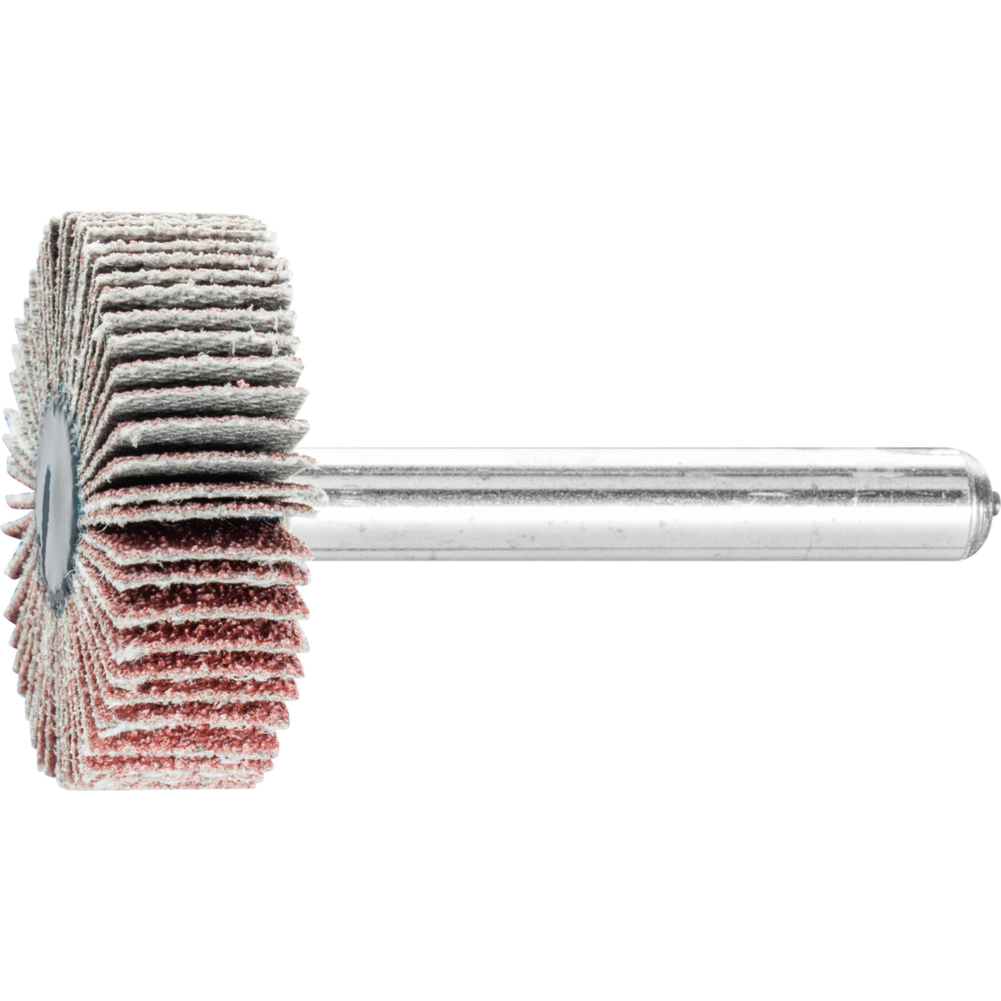 10 x PFERD Fächerschleifer F 3010/6 A 80