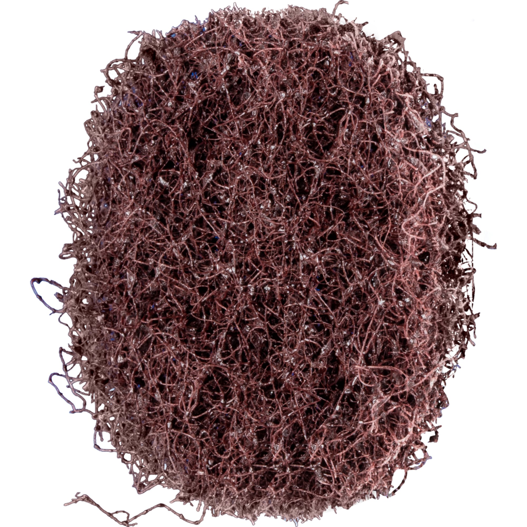 100 x PFERD POLINOX-Ronde für Marmorierkörper MKRK 40 A 100