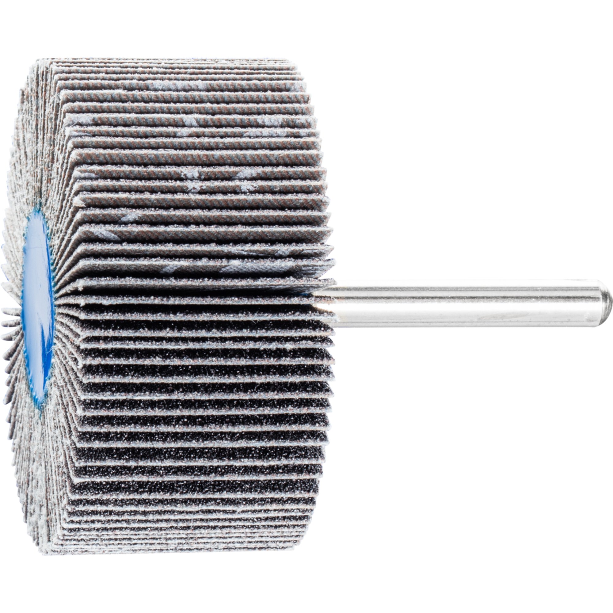 10 x PFERD Fächerschleifer F 6030/6 SiC 80