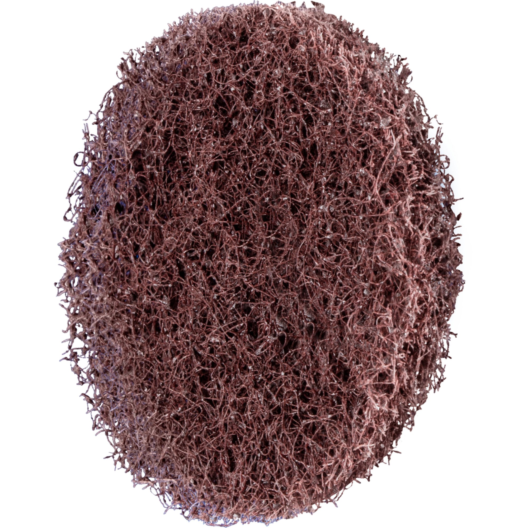 100 x PFERD POLINOX-Ronde für Marmorierkörper MKRK 50 A 100